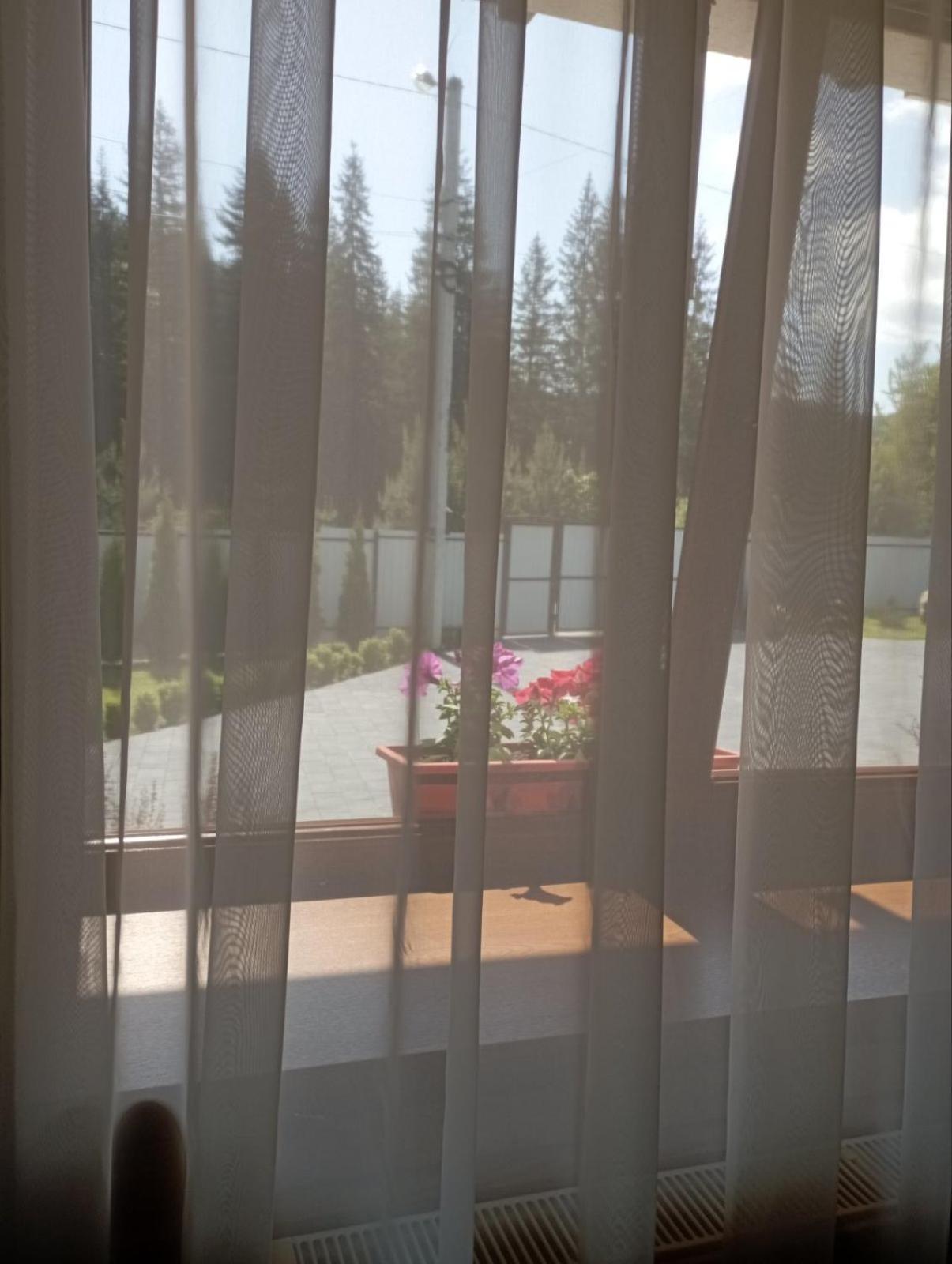 Hostal U Anastasii I Sofii Bilya Richki Mykulychyn Exterior foto