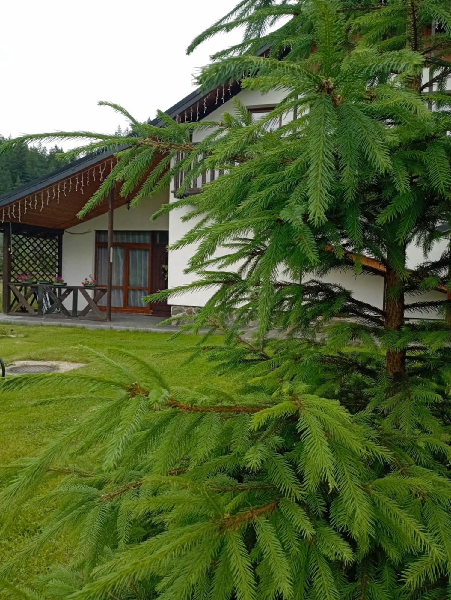 Hostal U Anastasii I Sofii Bilya Richki Mykulychyn Exterior foto